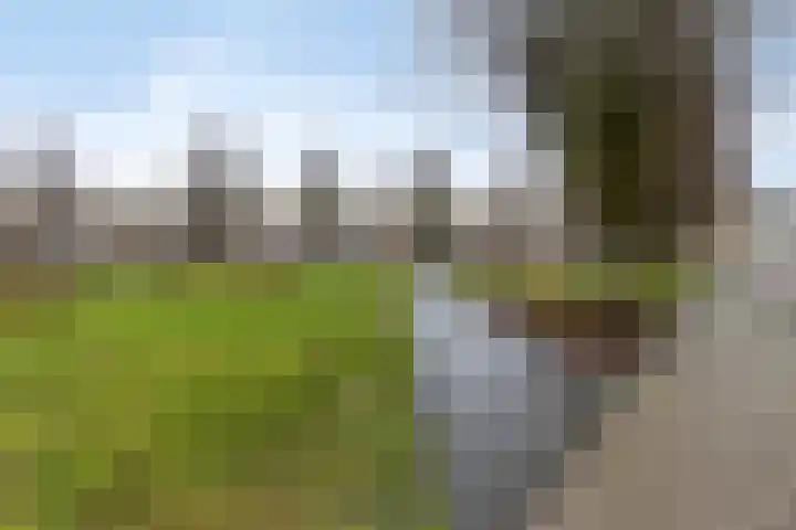 Sullivanlijn 24 Zoetermeer thumbnail 39