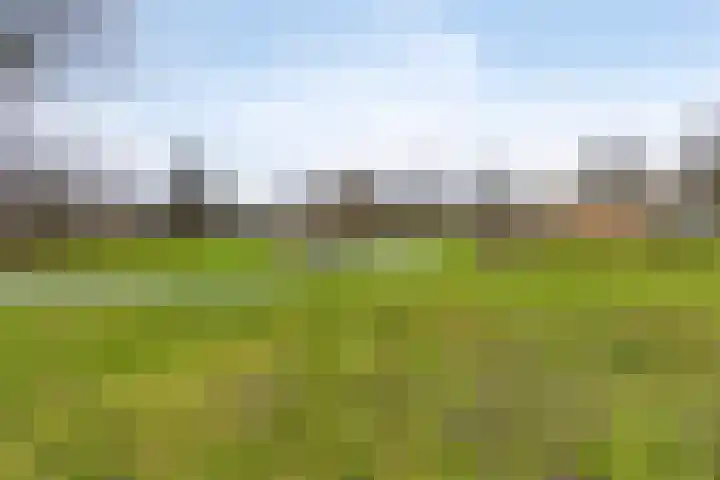 Sullivanlijn 24 Zoetermeer thumbnail 40