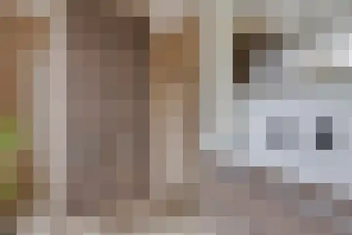 Sullivanlijn 24 Zoetermeer thumbnail 5