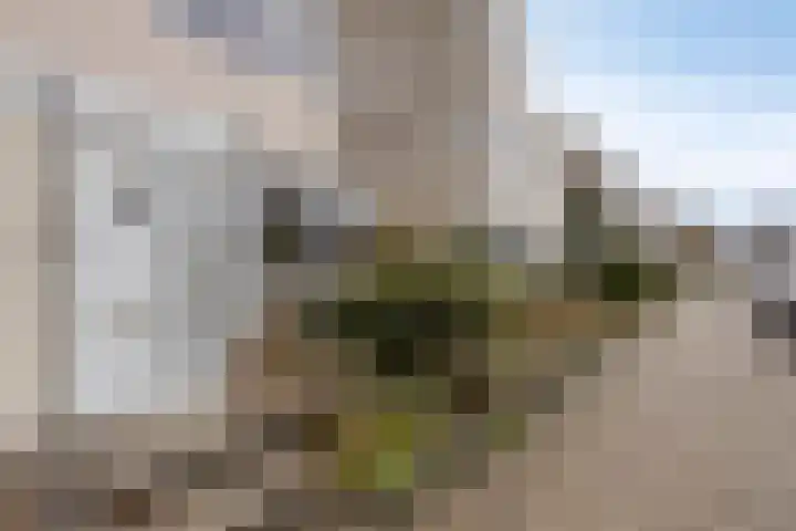 Sullivanlijn 24 Zoetermeer thumbnail 7