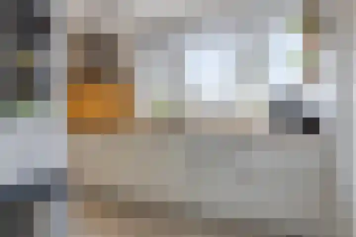 Sullivanlijn 24 Zoetermeer thumbnail 9