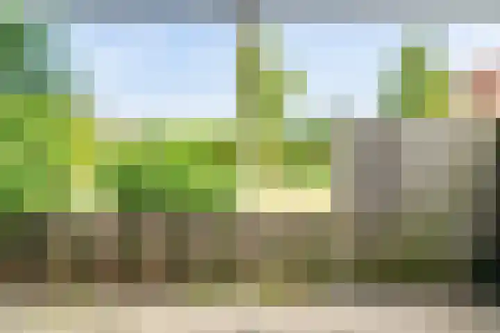 Sumatra 102 Zoetermeer thumbnail 10