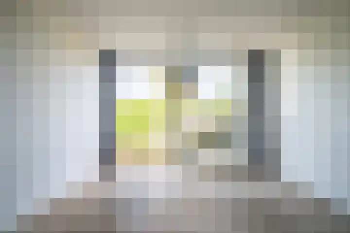 Sumatra 102 Zoetermeer thumbnail 9
