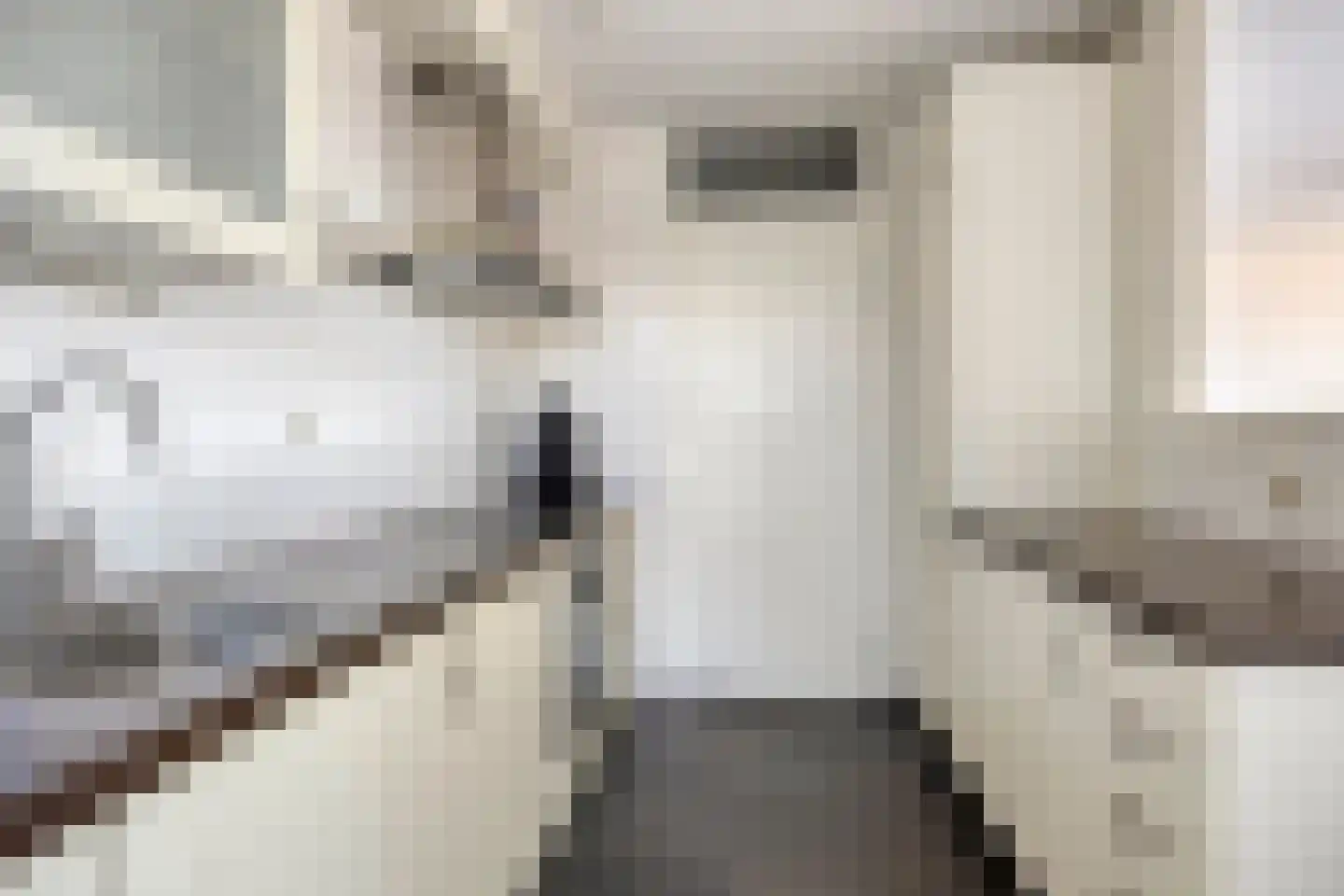 Sumatra 15 Purmerend thumbnail 15