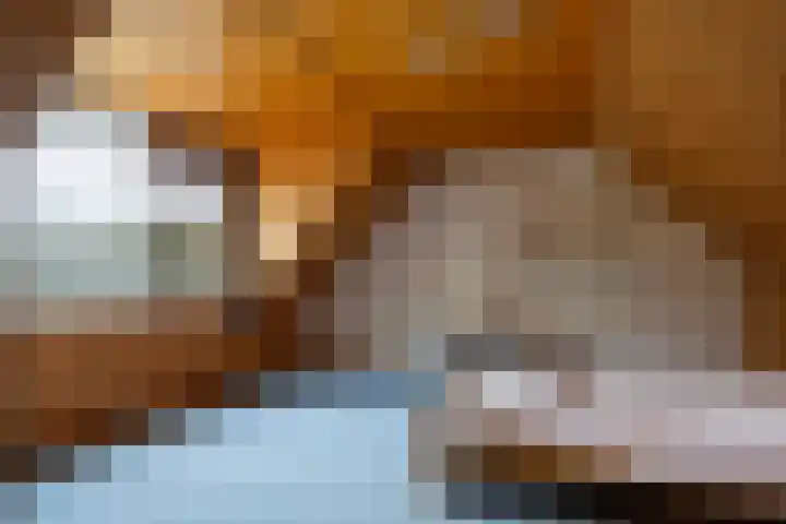 Sumatra 21 Purmerend thumbnail 23