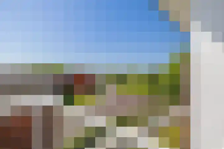 Sumatra 21 Purmerend thumbnail 6