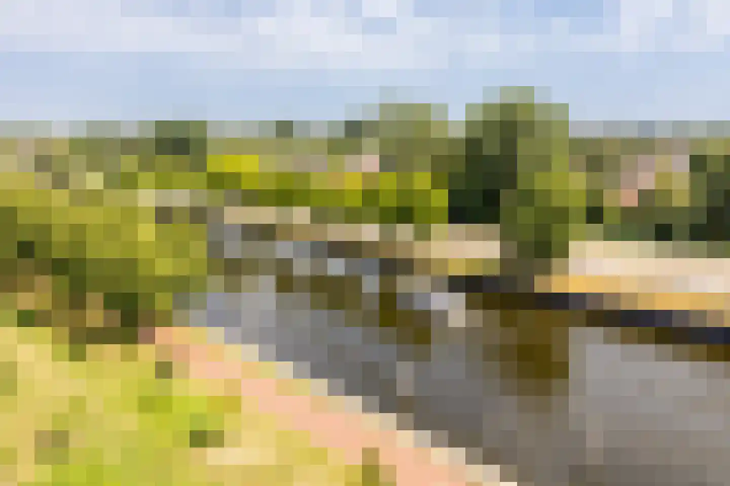 Sumatra 41 Purmerend thumbnail 36