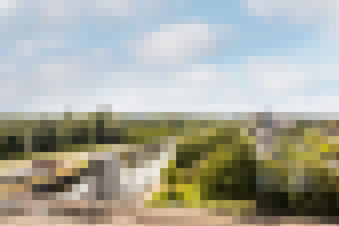 Sumatra 41 Purmerend thumbnail 37