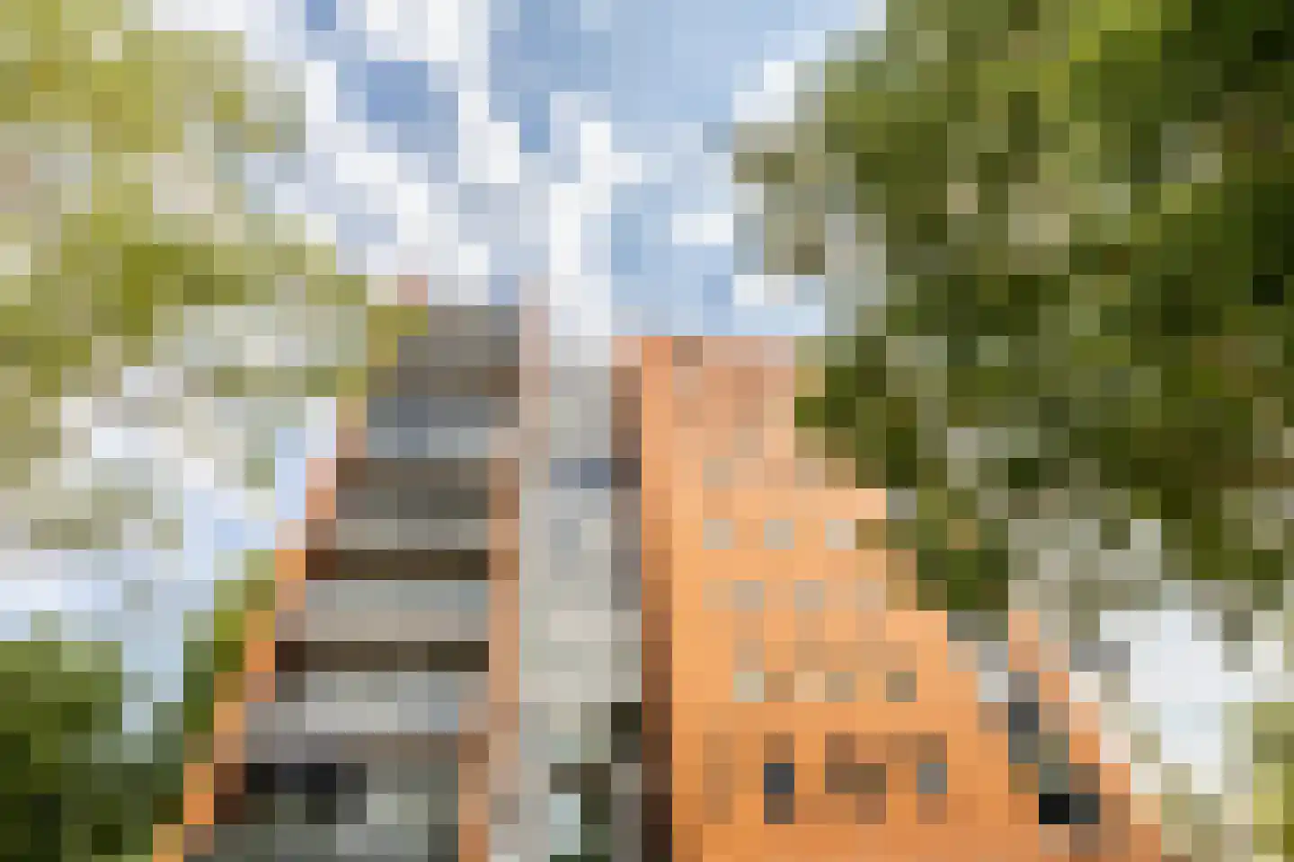 Sumatra 41 Purmerend thumbnail 39