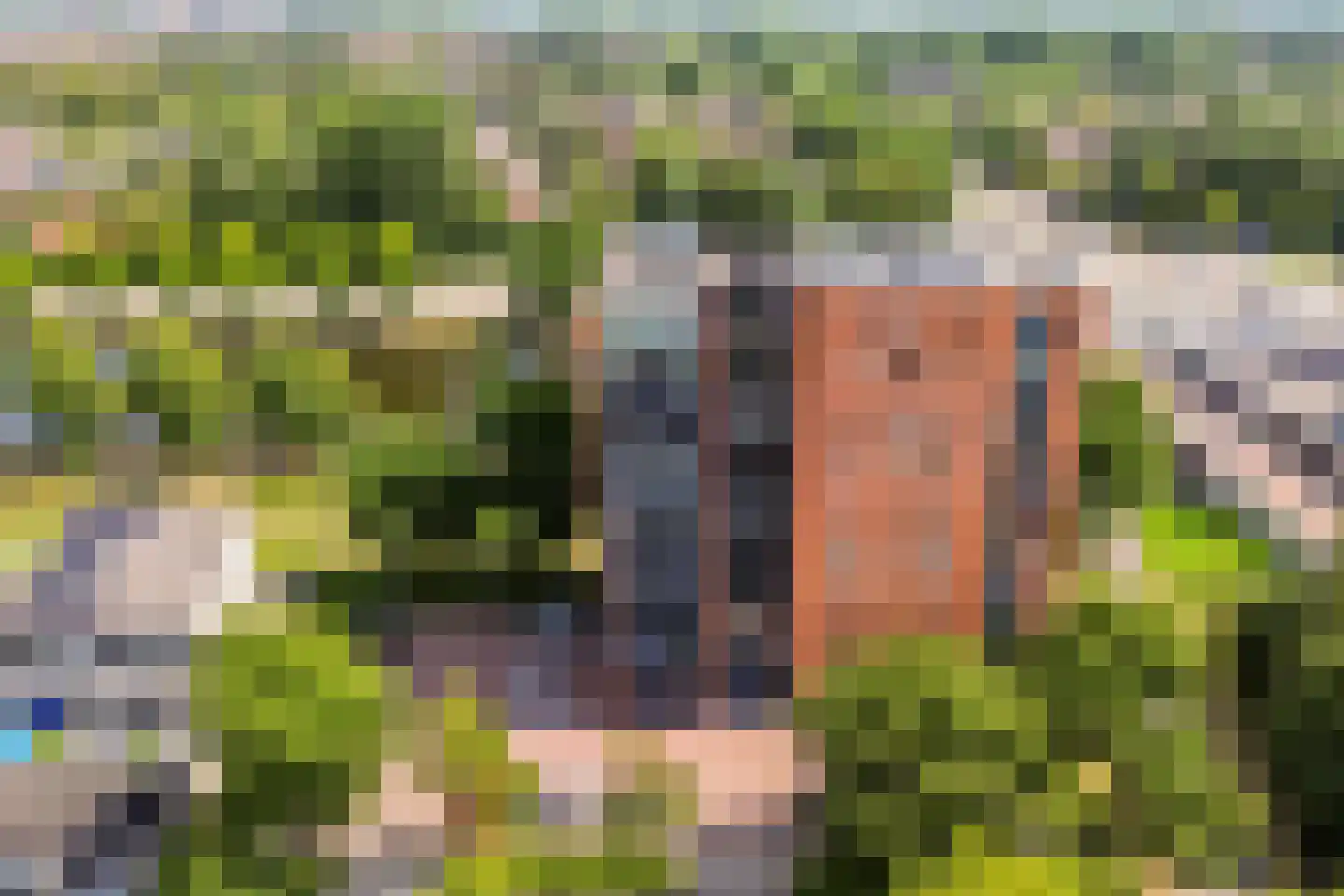 Sumatra 41 Purmerend thumbnail 43