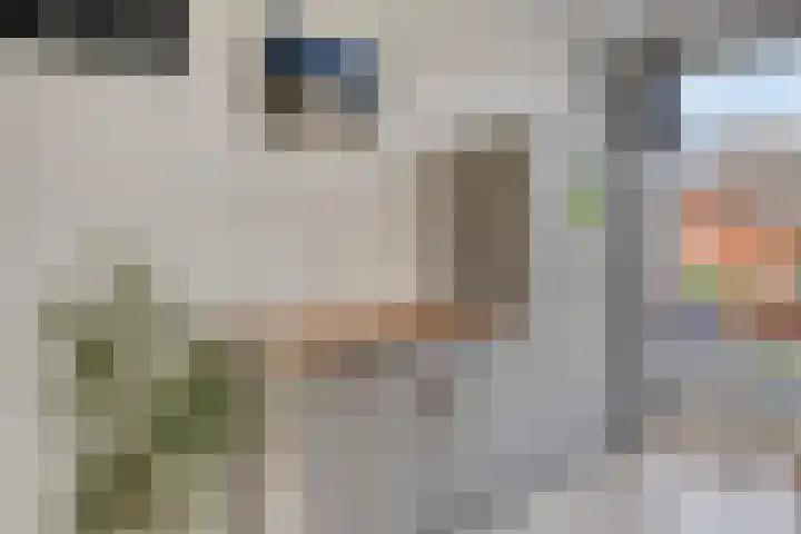 Sumatra 64 Zoetermeer thumbnail 10