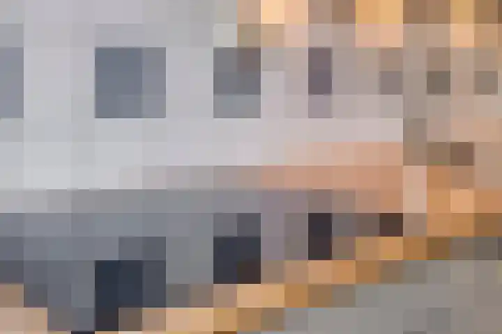 Sumatra 64 Zoetermeer thumbnail 12