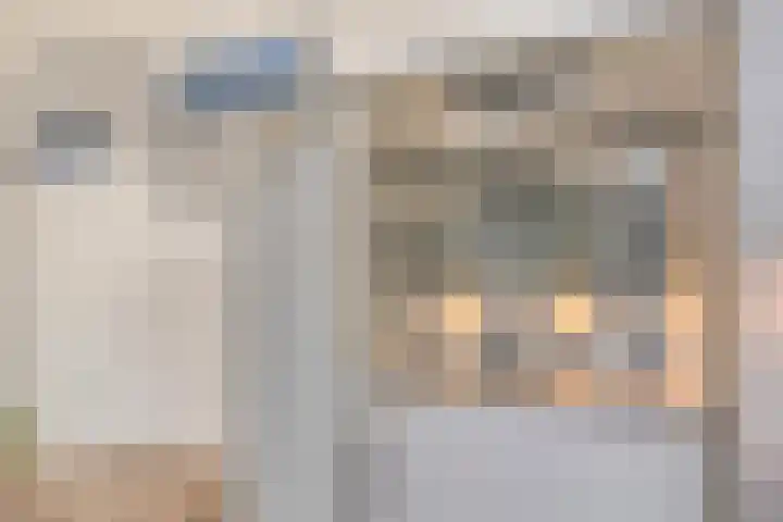 Sumatra 64 Zoetermeer thumbnail 13