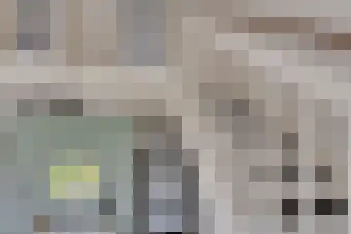 Sumatra 64 Zoetermeer thumbnail 16