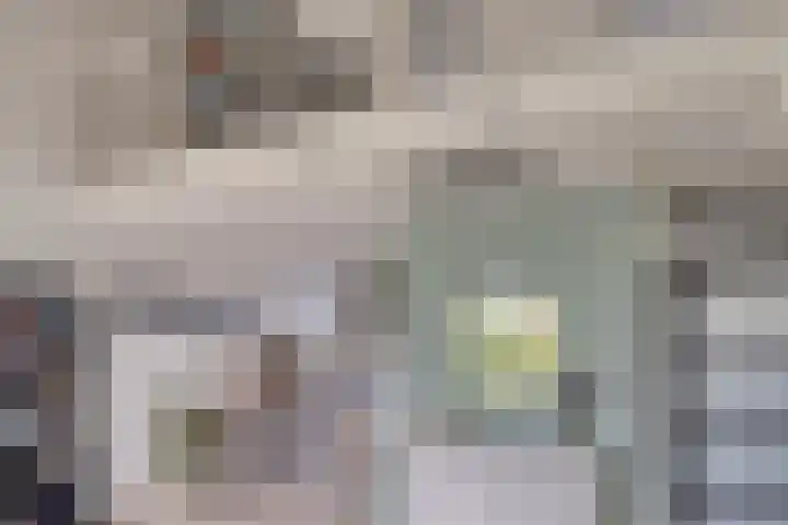 Sumatra 64 Zoetermeer thumbnail 17