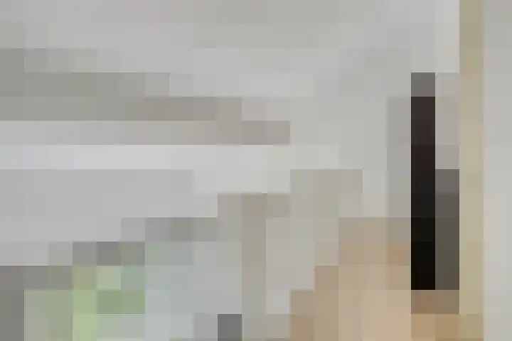 Sumatra 64 Zoetermeer thumbnail 18