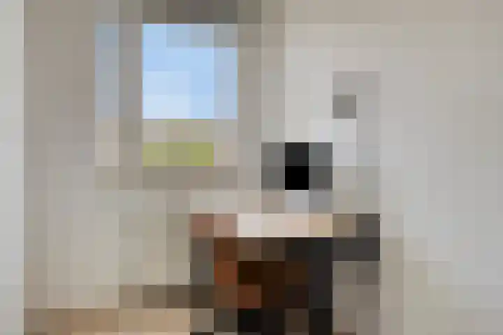 Sumatra 64 Zoetermeer thumbnail 21