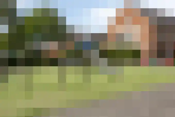 Sumatra 64 Zoetermeer thumbnail 29