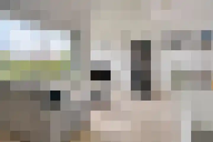 Sumatra 64 Zoetermeer thumbnail 4