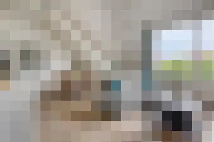 Sumatra 64 Zoetermeer thumbnail 5