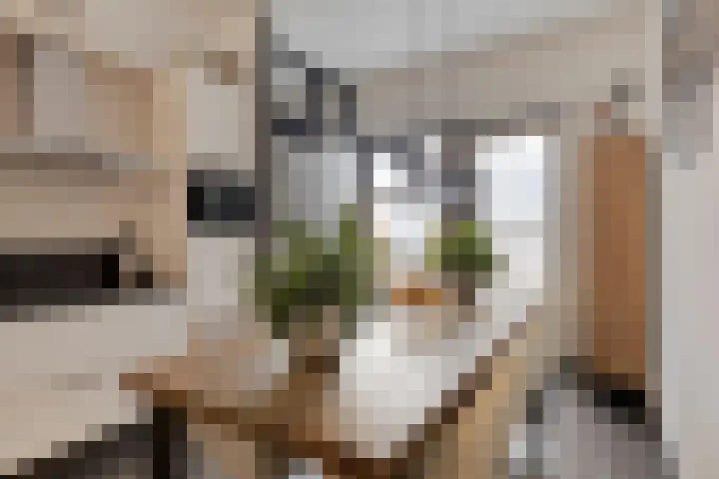 Sumatra 71 Purmerend thumbnail 11
