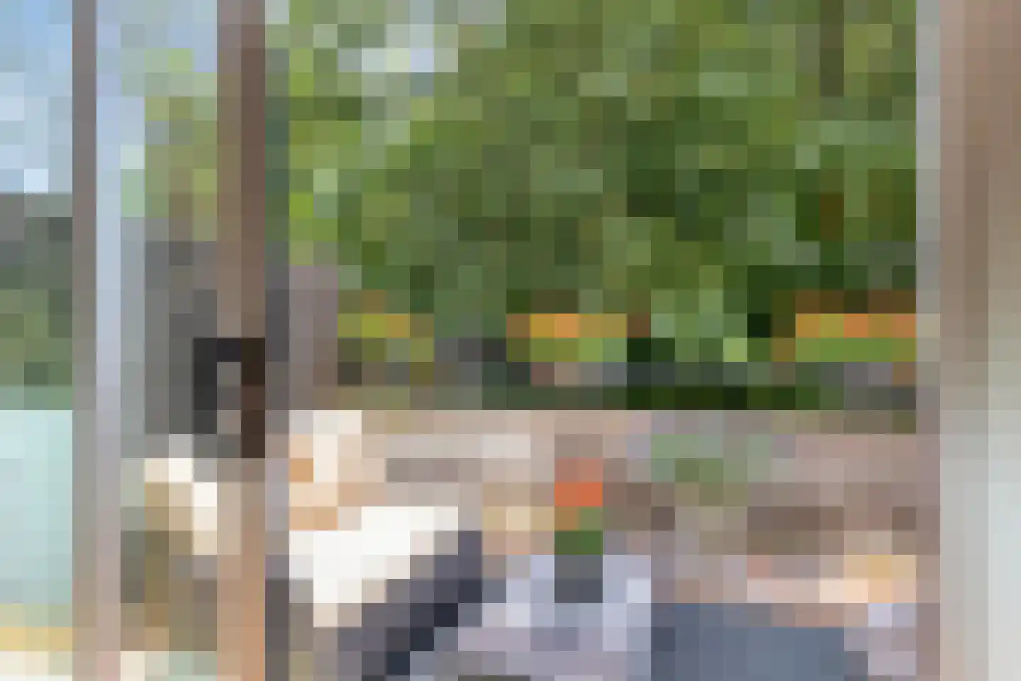 Sumatra 71 Purmerend thumbnail 17