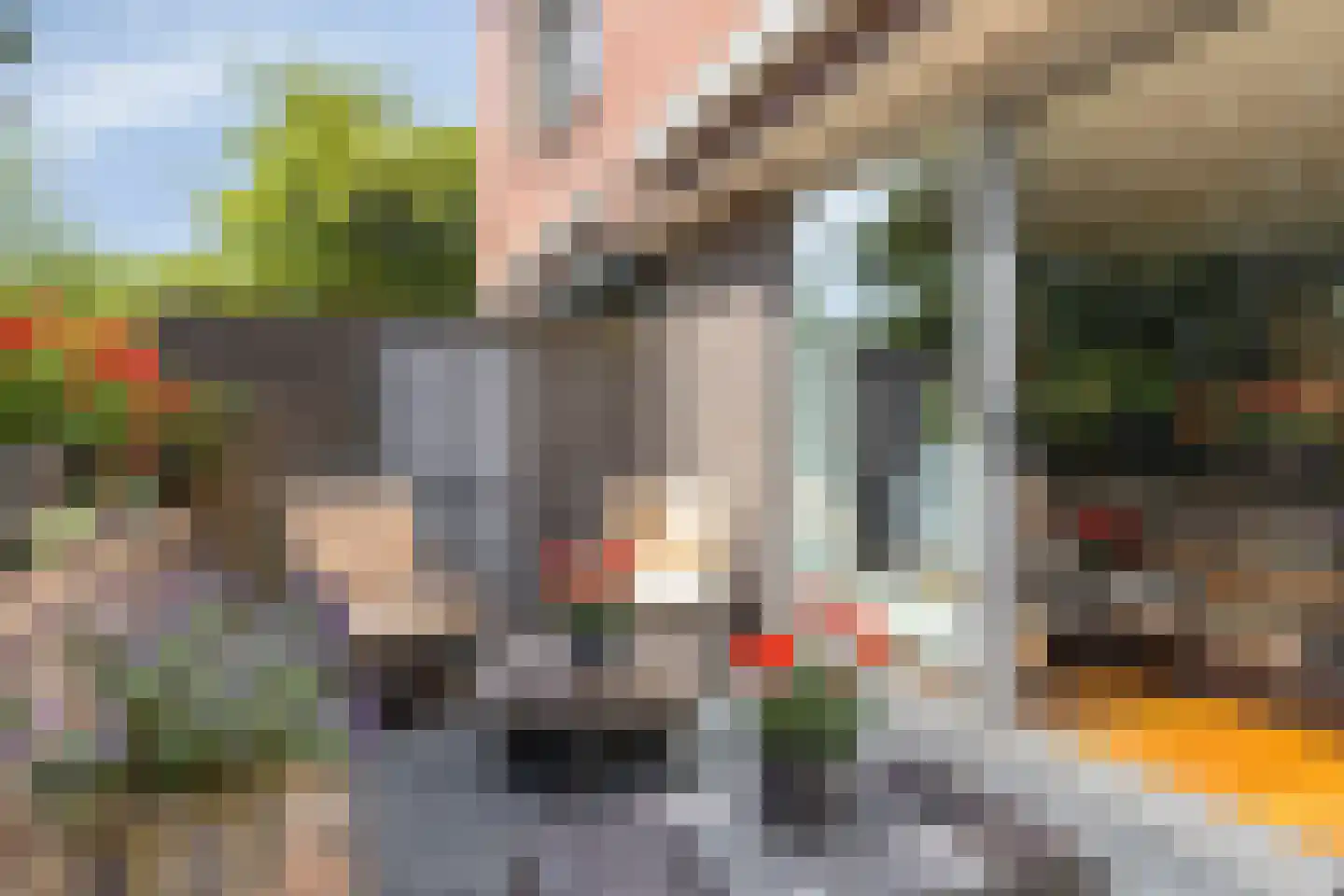 Sumatra 71 Purmerend thumbnail 18