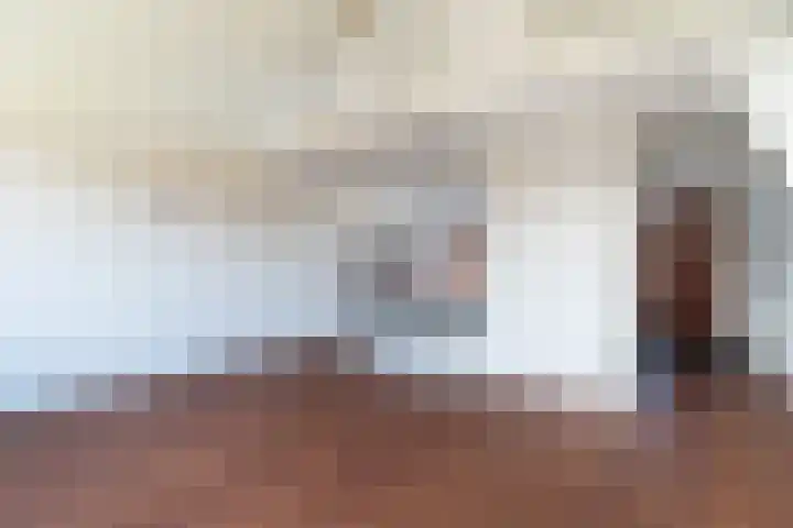 Sumatra 86 Zoetermeer thumbnail 12