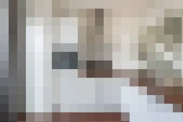 Sumatra 86 Zoetermeer thumbnail 18