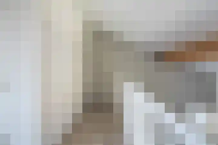 Sumatra 86 Zoetermeer thumbnail 24