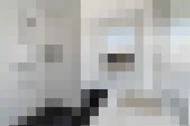 Sumatra 86 Zoetermeer thumbnail 26
