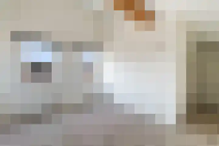 Sumatra 86 Zoetermeer thumbnail 32