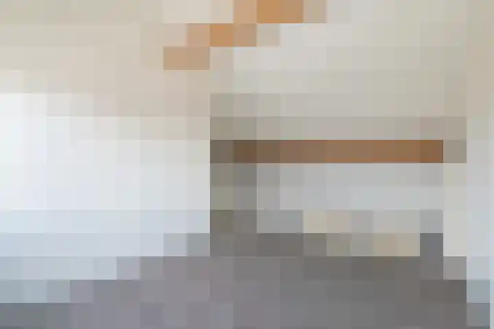 Sumatra 86 Zoetermeer thumbnail 33