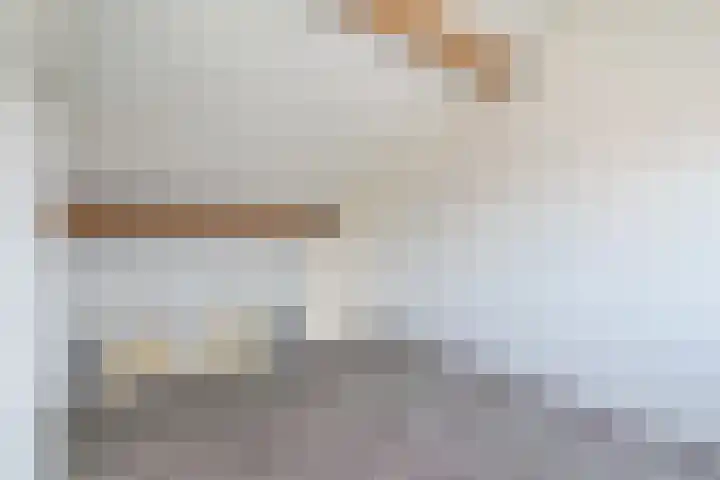 Sumatra 86 Zoetermeer thumbnail 34