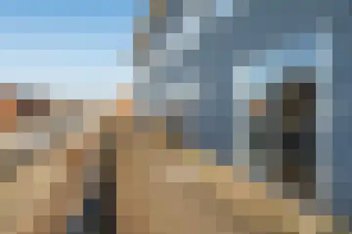 Sumatra 86 Zoetermeer thumbnail 36