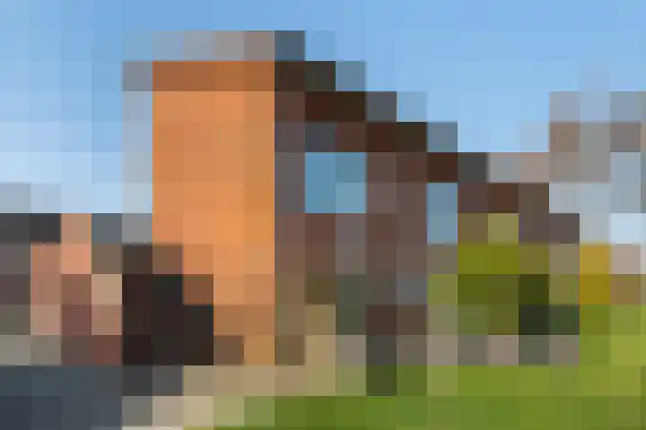 Sumatra 86 Zoetermeer thumbnail 40