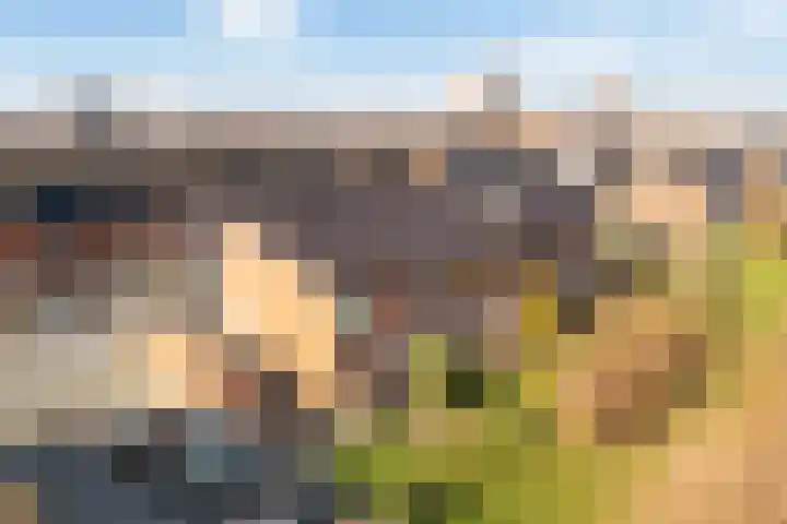 Sumatra 86 Zoetermeer thumbnail 41