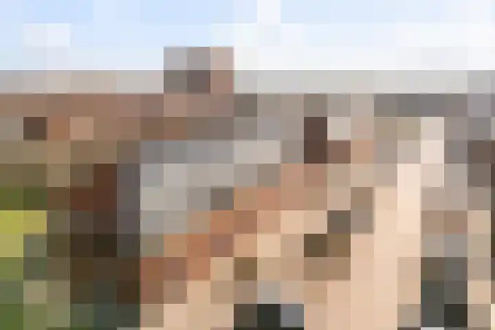 Sumatra 86 Zoetermeer thumbnail 44