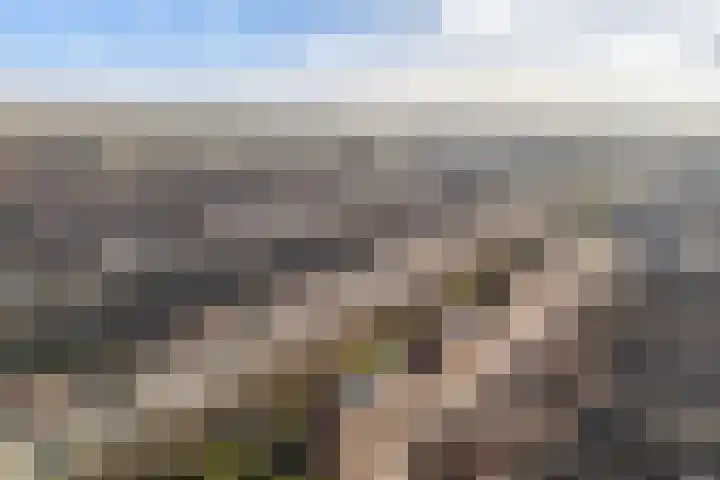 Sumatra 86 Zoetermeer thumbnail 45