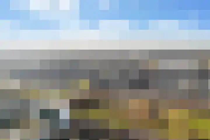 Sumatra 86 Zoetermeer thumbnail 47