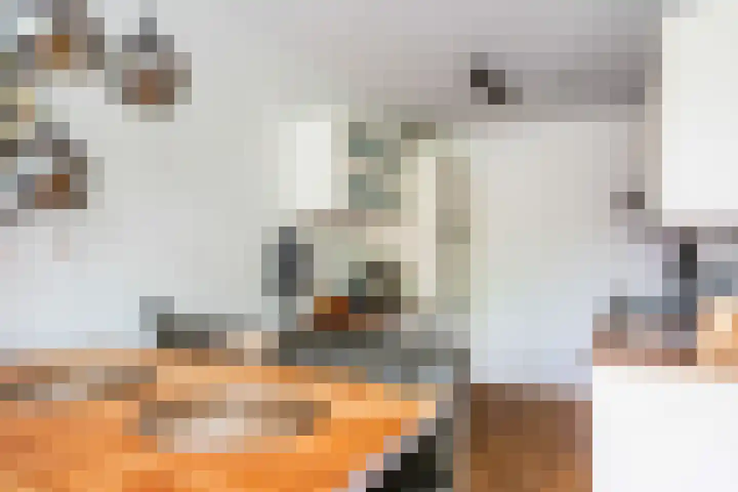 Sumatra 98 Zoetermeer thumbnail 12