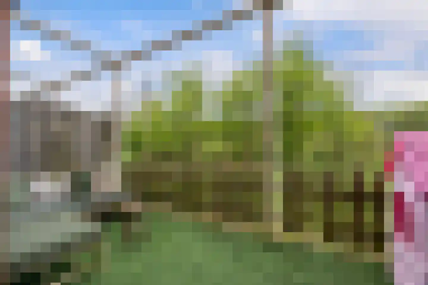 Sumatra 98 Zoetermeer thumbnail 17