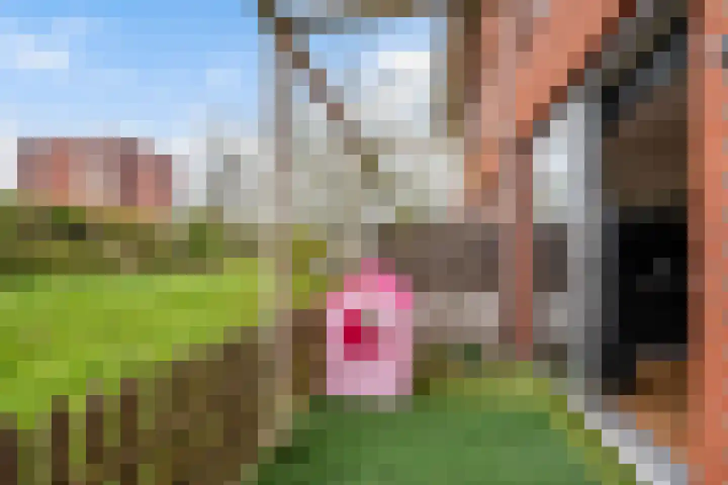 Sumatra 98 Zoetermeer thumbnail 18