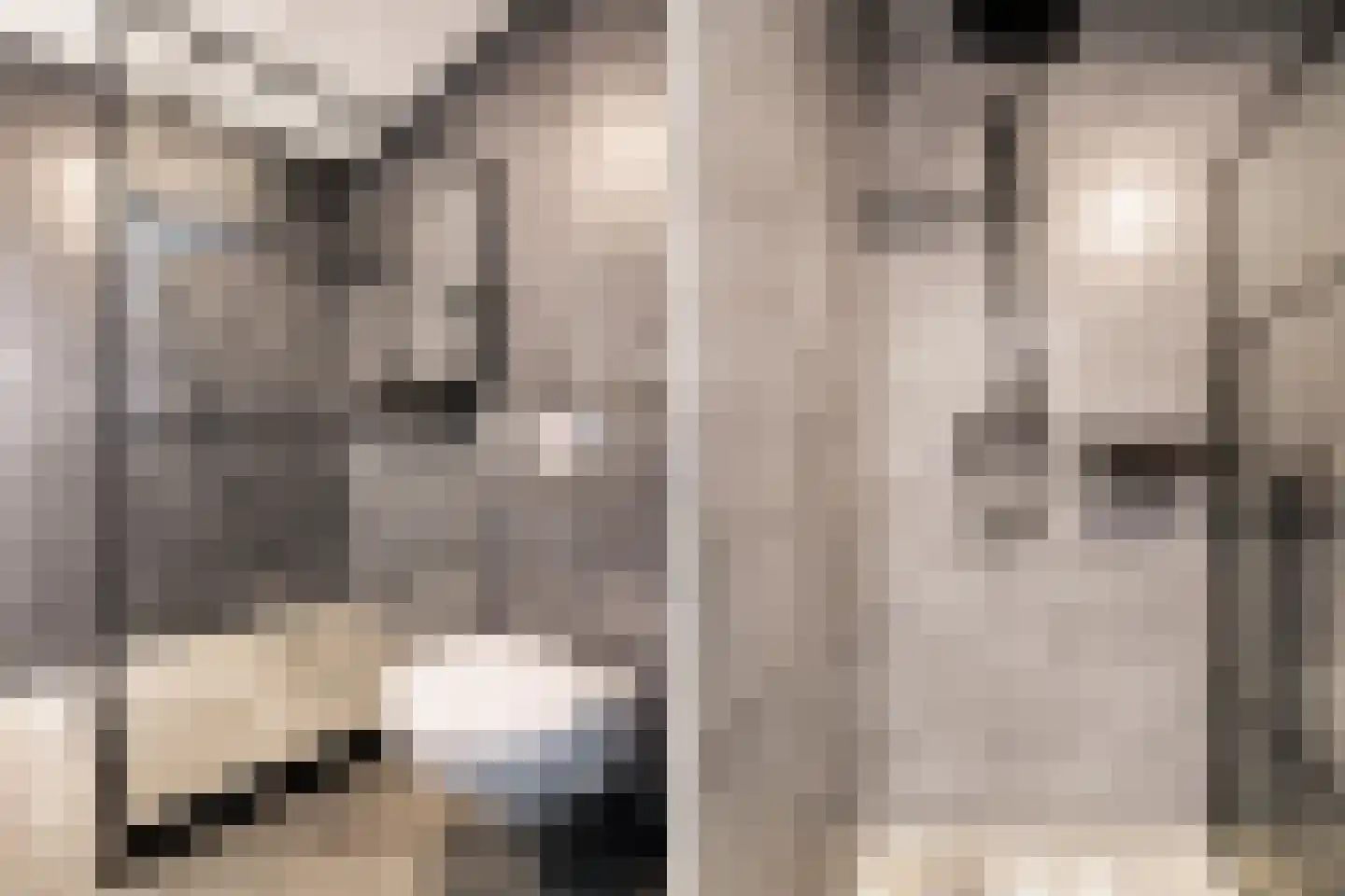 Sumatra 98 Zoetermeer thumbnail 22