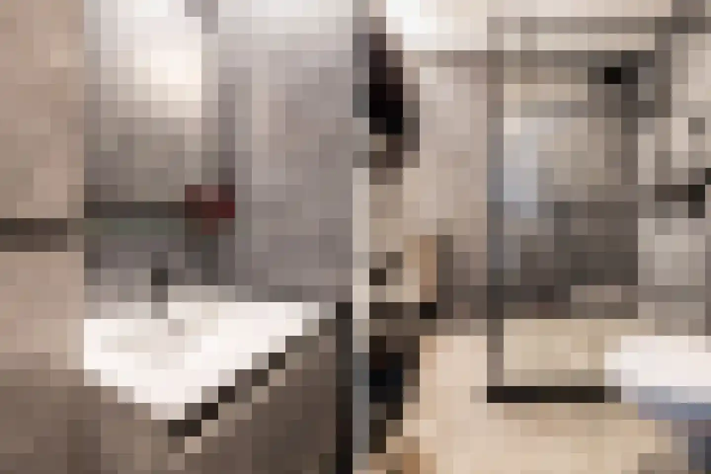 Sumatra 98 Zoetermeer thumbnail 23