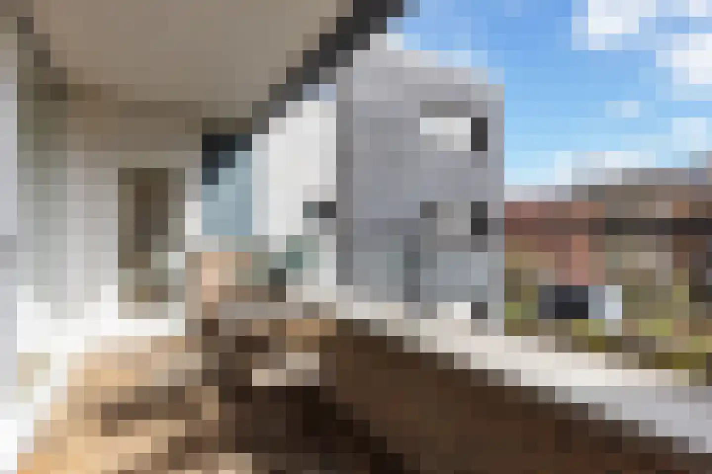 Sumatrakade 1407 Amsterdam thumbnail 6
