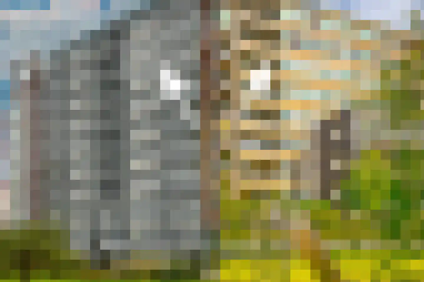 Sumatrakade 1429 Amsterdam thumbnail 32