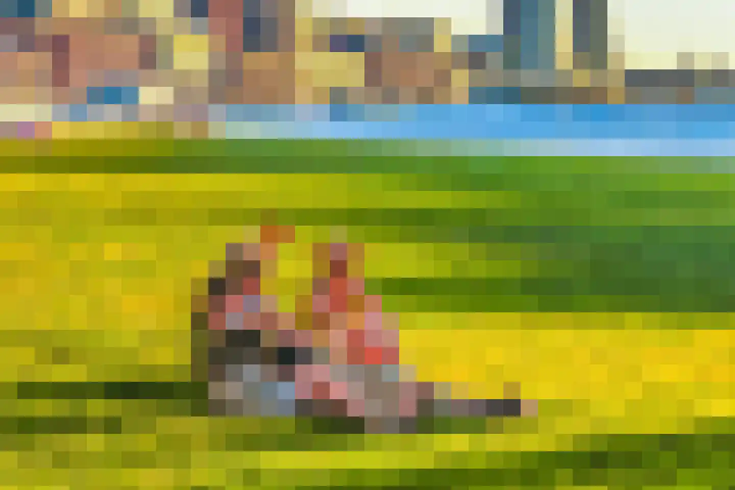 Sumatrakade 1429 Amsterdam thumbnail 42
