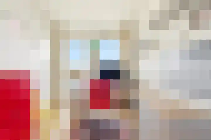 Sumatrakade 1521 Amsterdam thumbnail 19