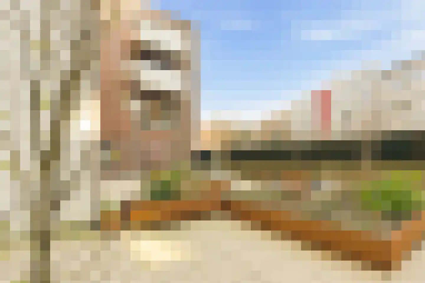 Sumatrakade 1521 Amsterdam thumbnail 30